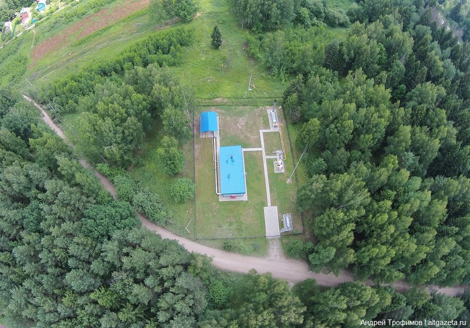 Фото: altgazeta.ru
