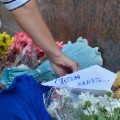 07 Египет Россия авиакатастрофе 1101