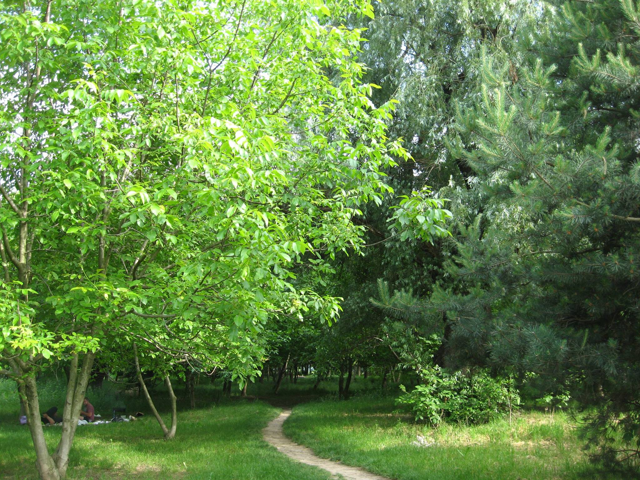 55de02235236.jpg