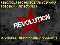 5a9b922e9483.jpg