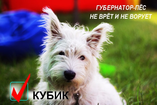 b4ff3624b0c2.jpg
