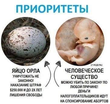 2202561f85f7.jpg