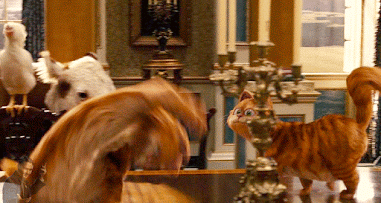 2aa497a3f8cc.gif