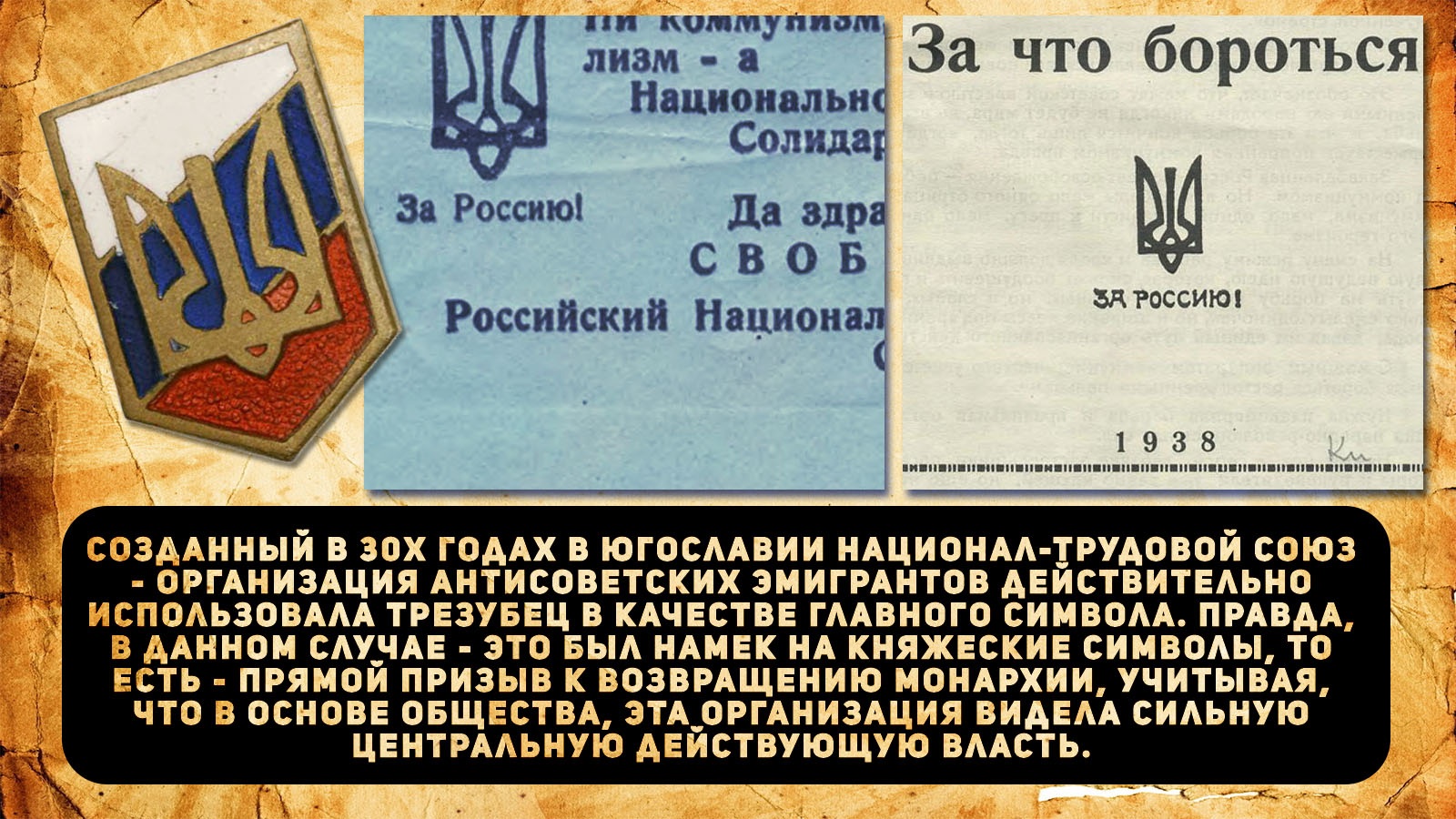 313d7c5fc398.jpg