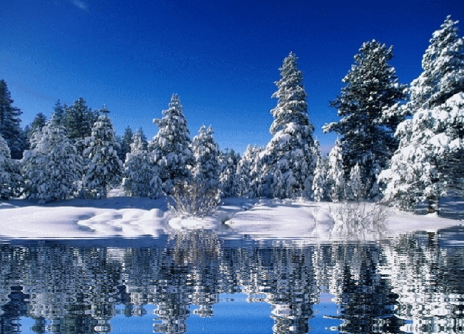 32b55dbc45f7.gif