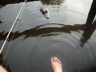 3c88603d1ef8.gif