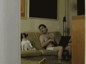 5602e009c2bf.gif
