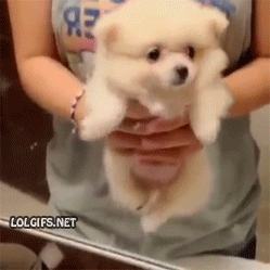 59169a05b92f.gif