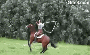 5e892f1f9acf.gif