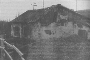 5f5acc1736e3.jpg