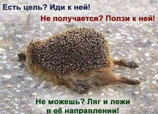 77746bfd15f3.jpg