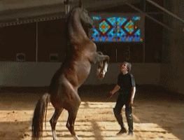 8adc5f7a0f03.gif