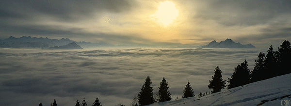8e3bfa7dc7b8.gif