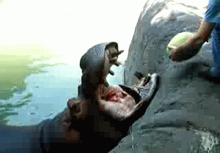 90ea4730a85f.gif