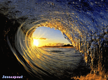 958799b7c348.gif