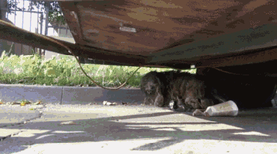 97a8ed4d78d8.gif