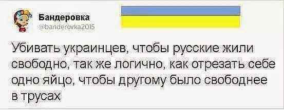 9950a6e66835.jpg