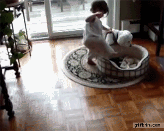 a146405b2639.gif