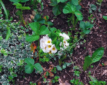 ba871213a494.gif