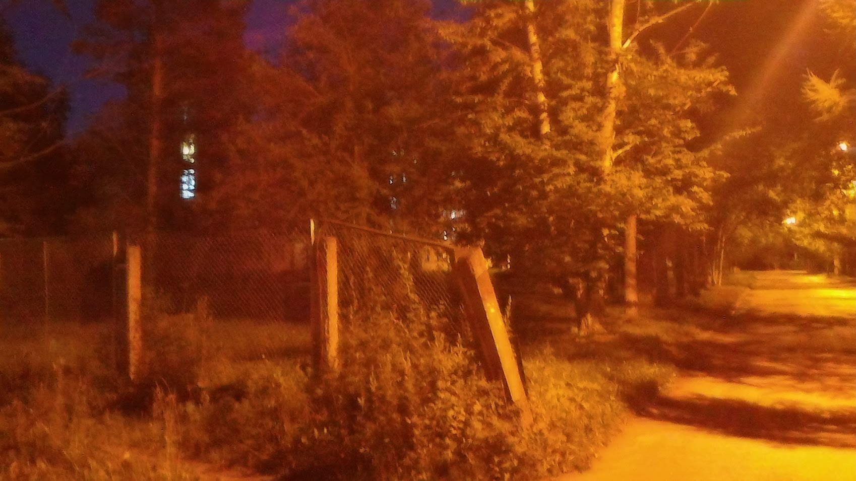 245f0eca12f3.jpg