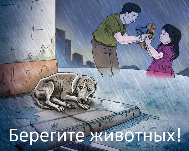 4aac900876a0.jpg