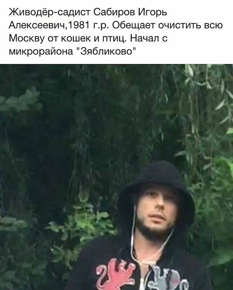 935c3c97e771.jpg