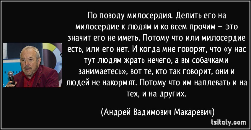 e5334ea9b1ed.jpg