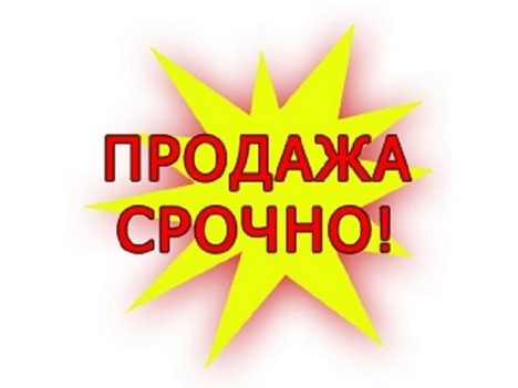 00b259fe9401.jpg