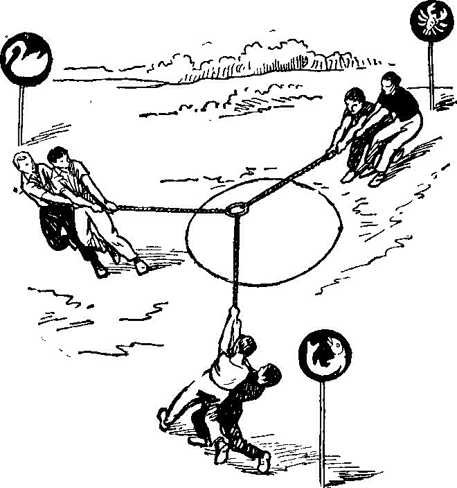 15ea448d53df.jpg