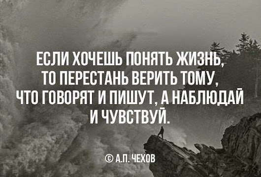 81d31462c96b.jpg