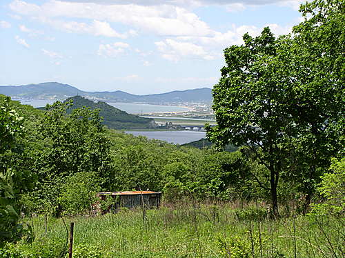 e50f578285c1.jpg