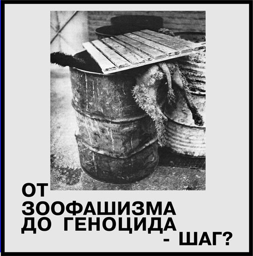 13af338115ff.jpg