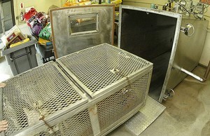 2e8a428fc669.jpg