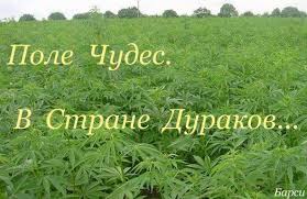 1ccc10bb99e2.jpg