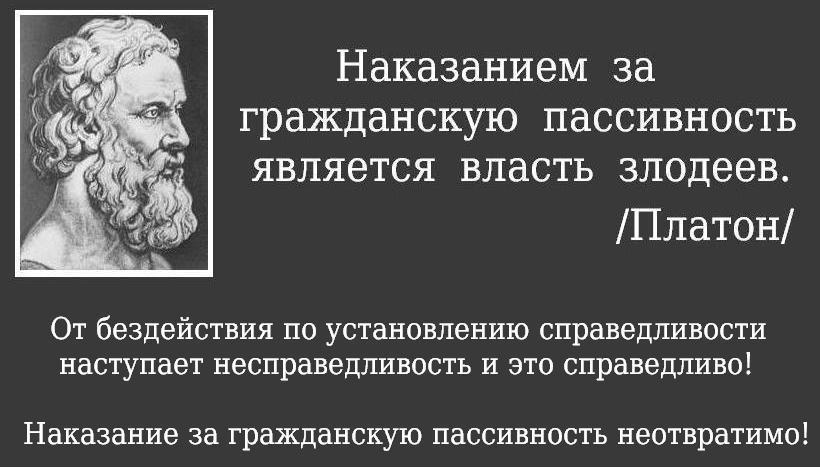 2f56b8862a97.jpg