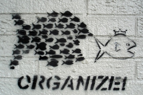 a64b4c7ae656.jpg