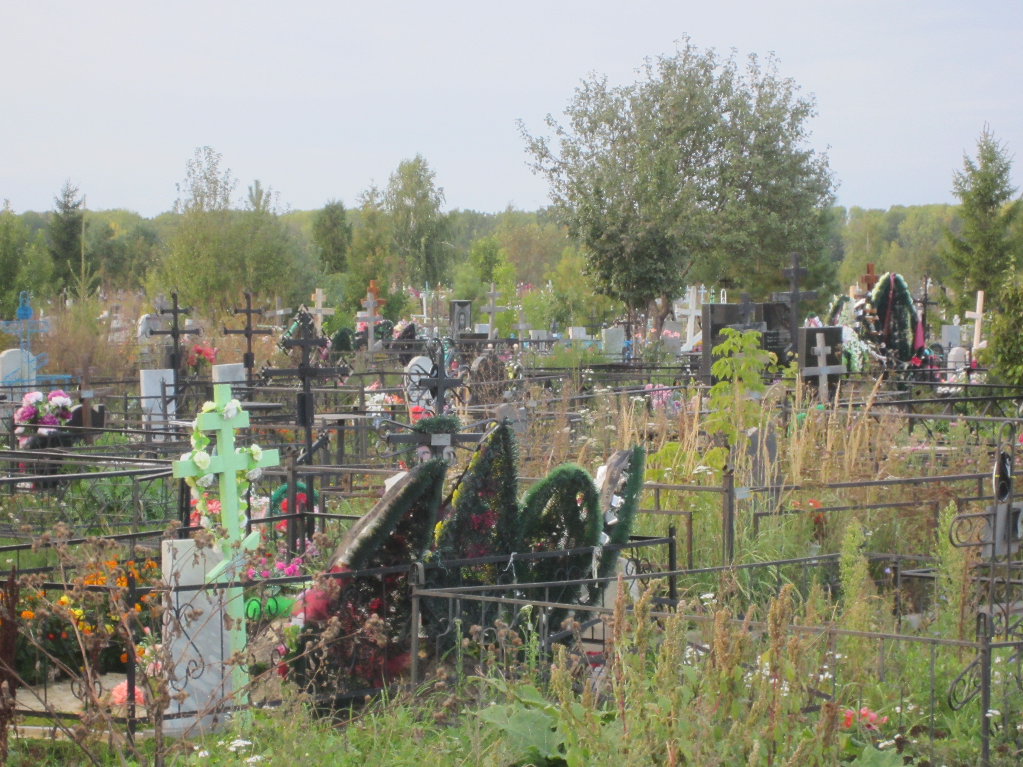 e27267680090.jpg