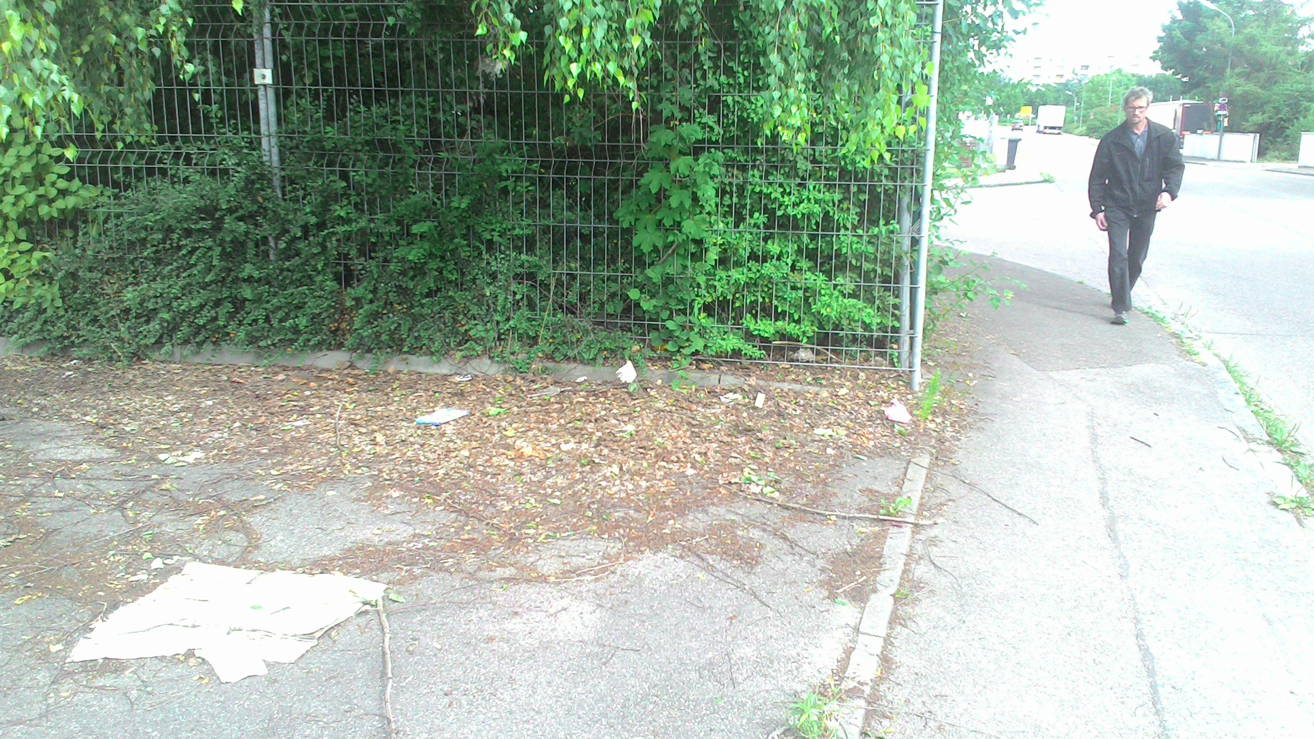 0b59c0226319.jpg