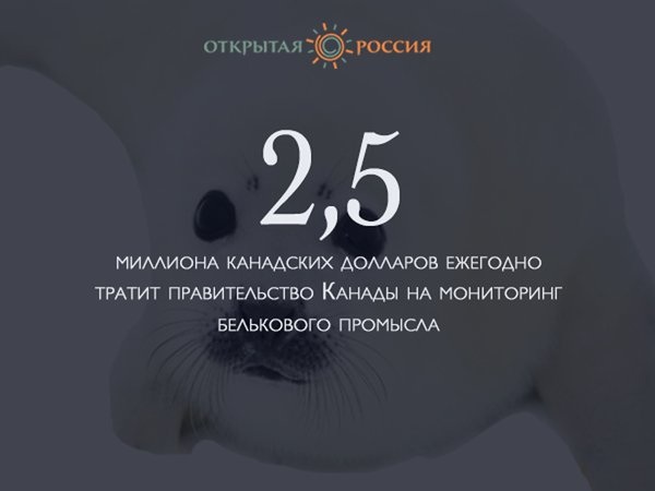 1d26d785a0b0.jpg