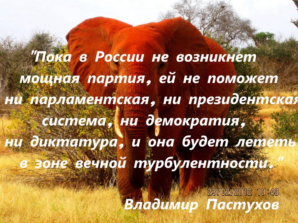 9c7ad85684bd.jpg