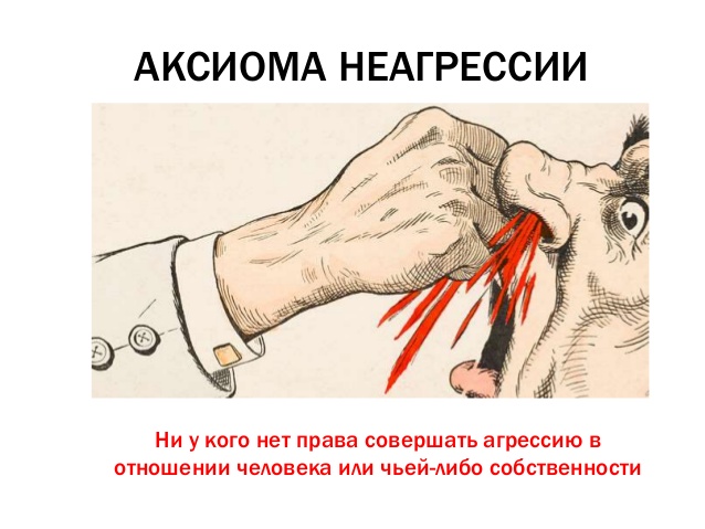 8bd8c9f28253.jpg