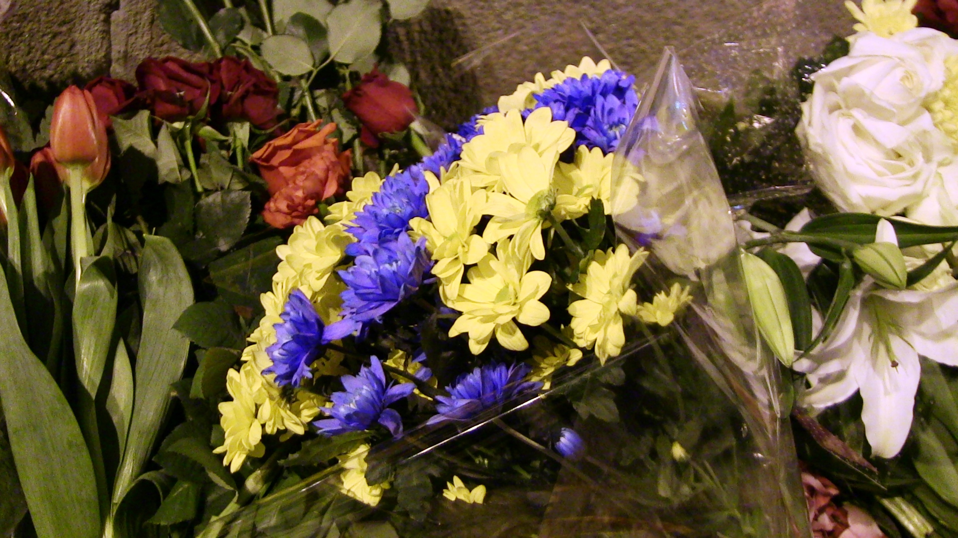 0aca9a7821c5.jpg
