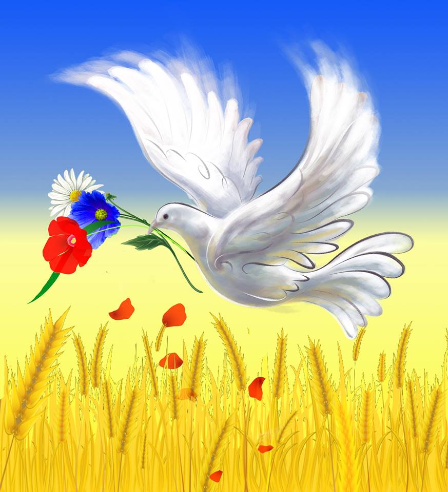 493fb1338dd6.jpg