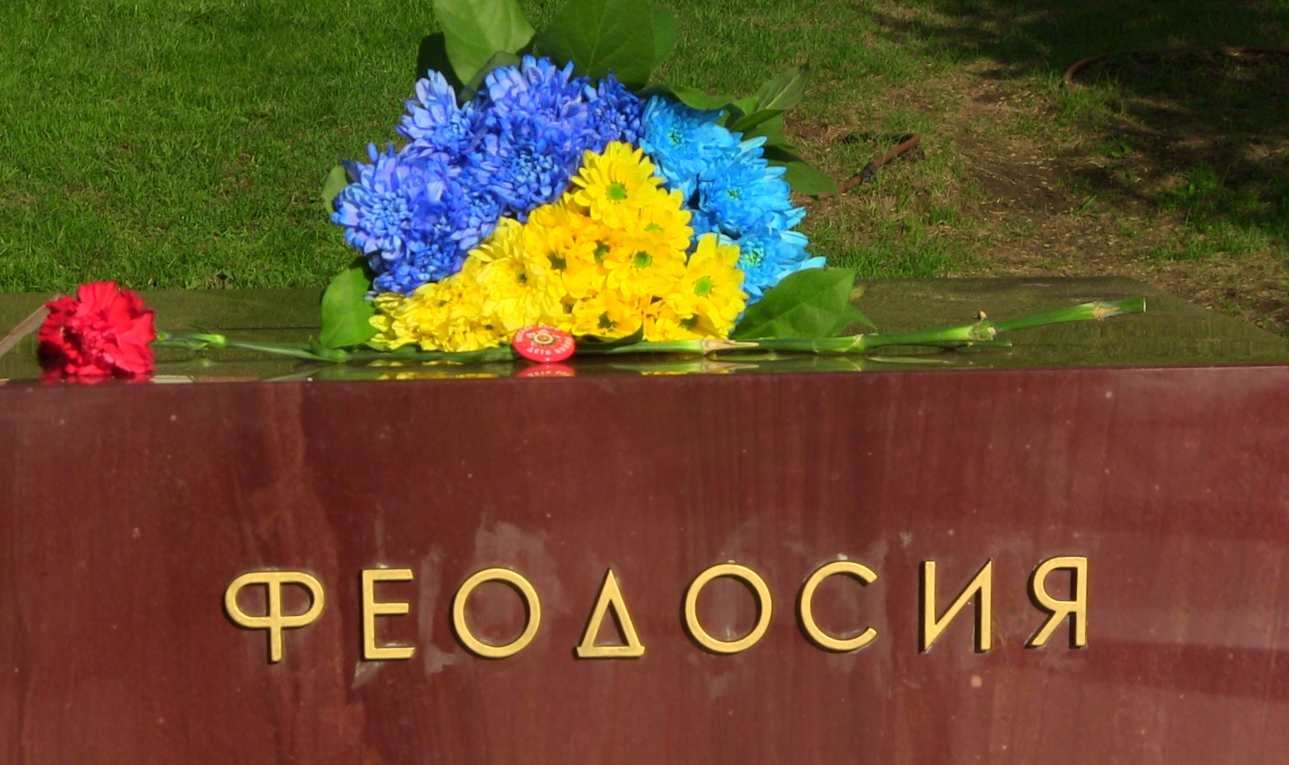 73314fb37f66.jpg