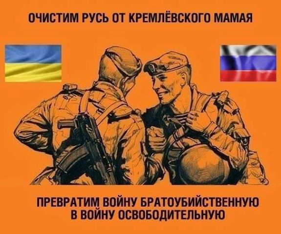 7733c63c5fd4.jpg
