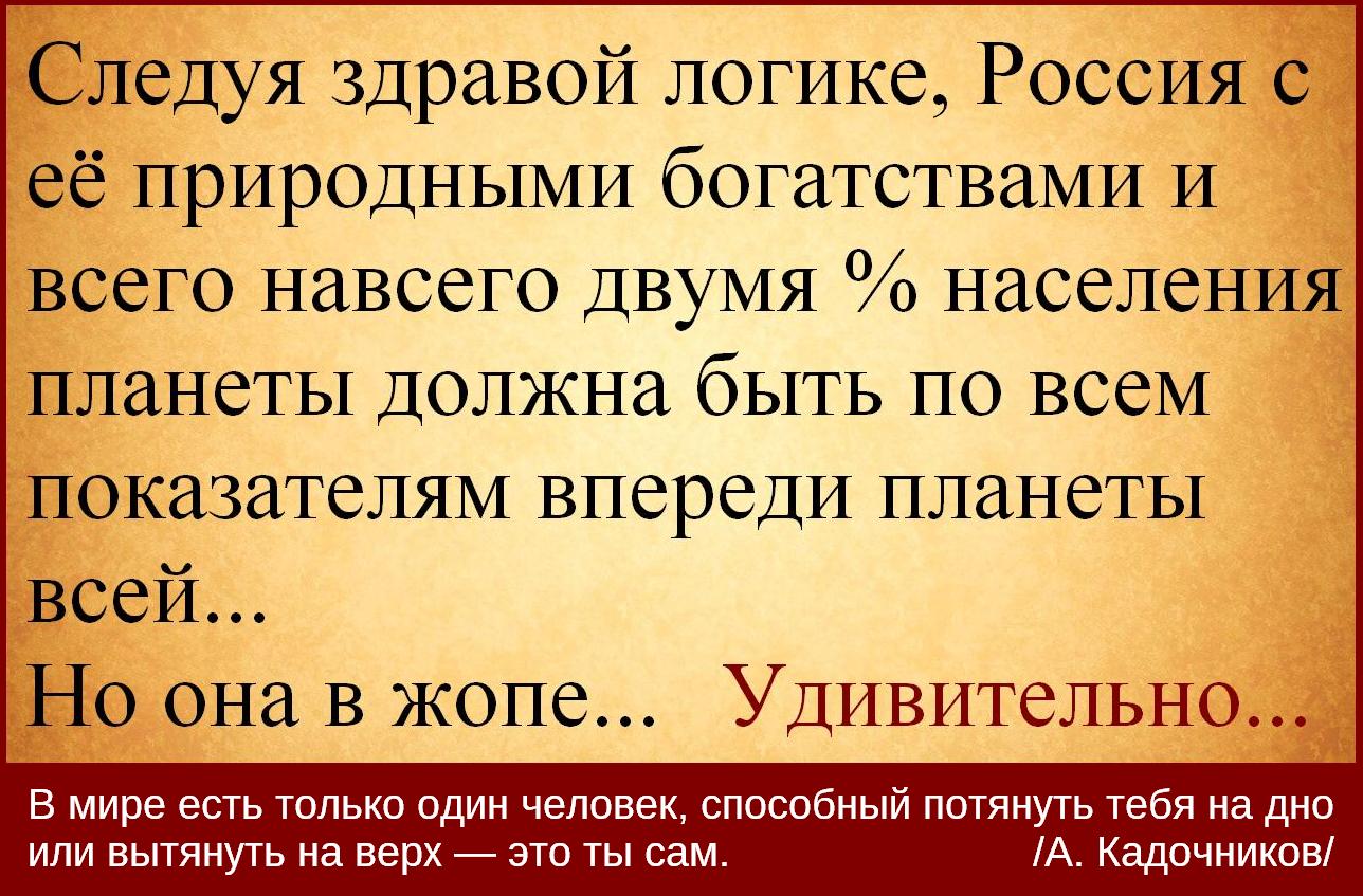 c0d6008b5a49.jpg