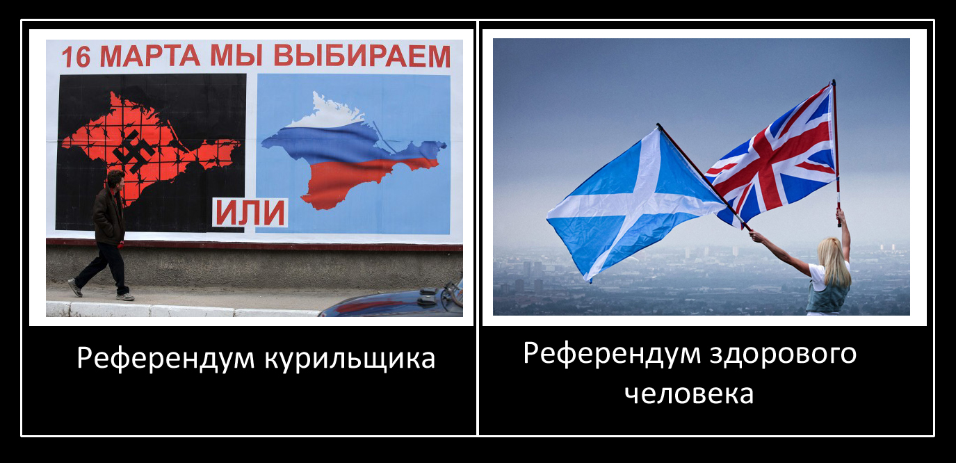 db644d55f675.jpg