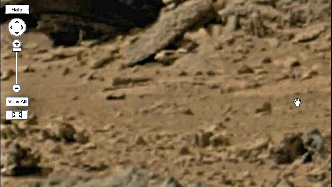 2cde009a8cc6.jpg