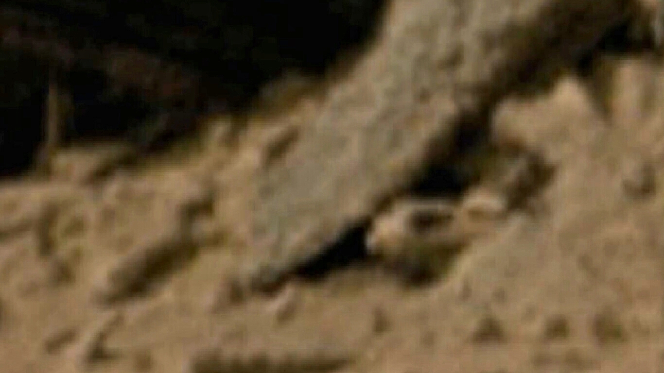 677f837d8edb.jpg