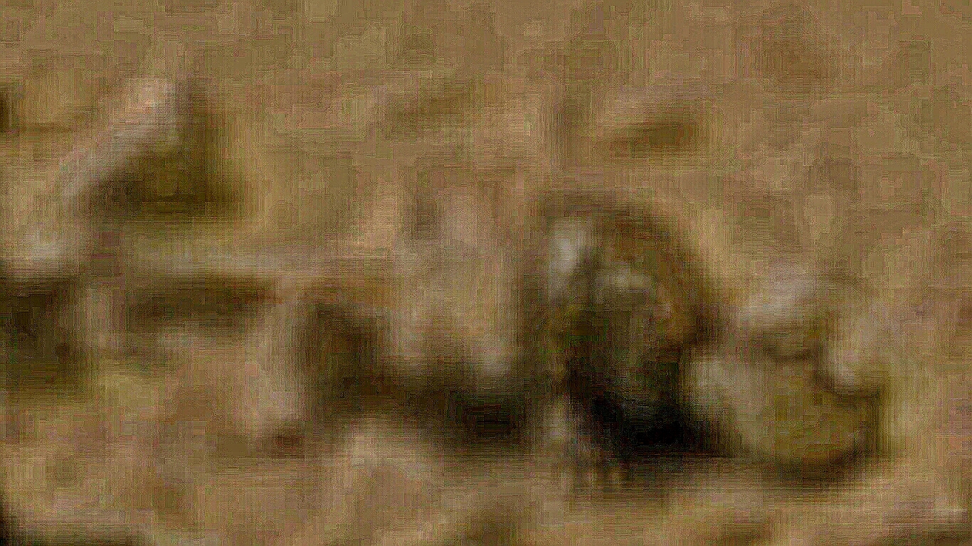 8c5a0068c621.jpg